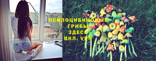 спиды Белокуриха
